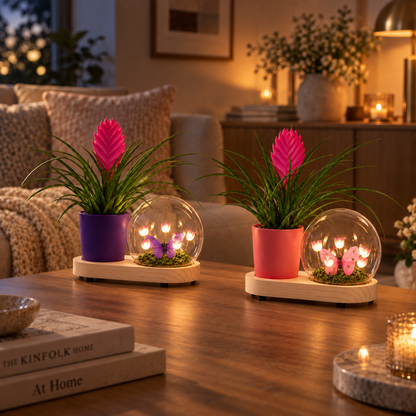 Tillandsia in Lighting Flower Bulb
