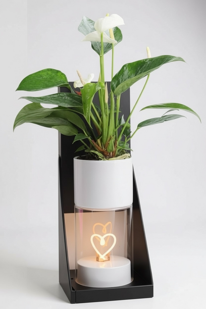 Anthurium in Heart of Love