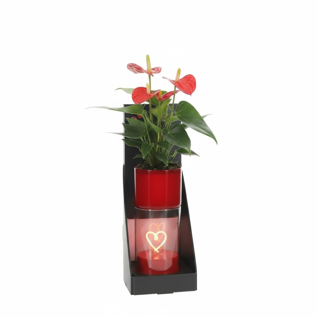 Anthurium in Heart of Love