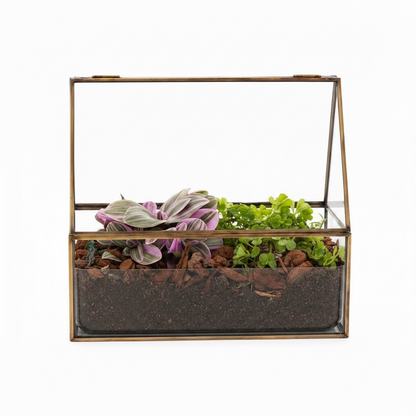 Groenplantjes in Semi-terrarium glazen huisje