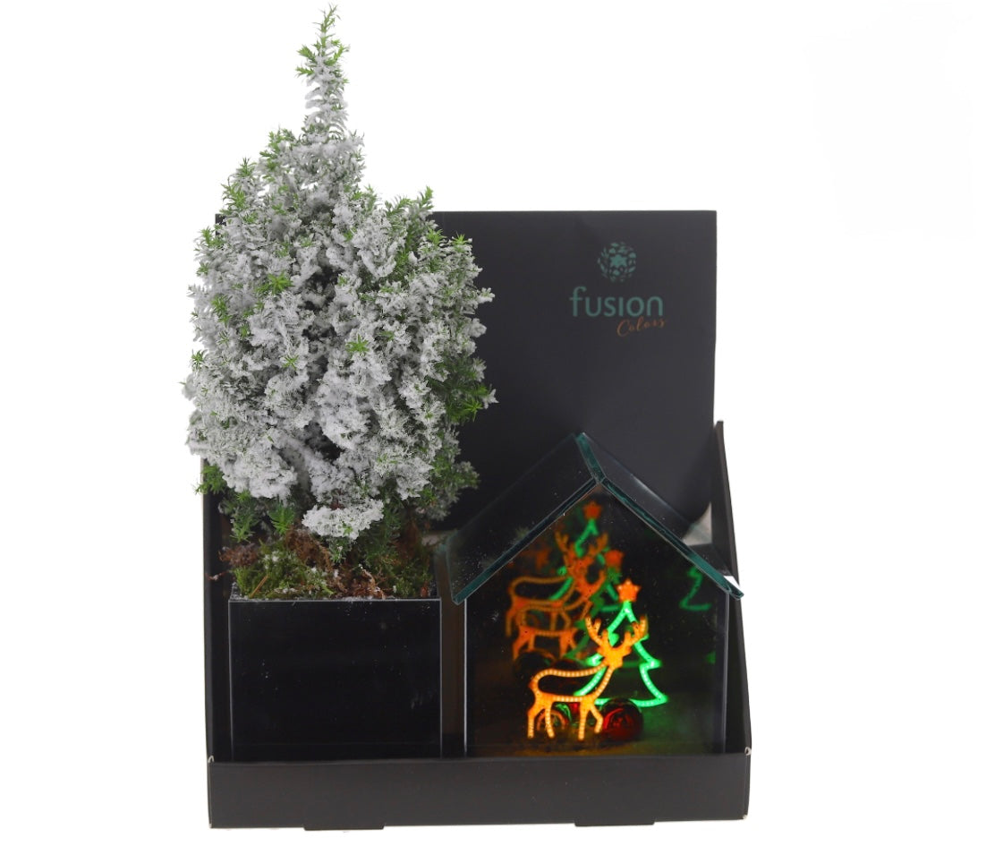 kerstboom met Glazenhuisje Led