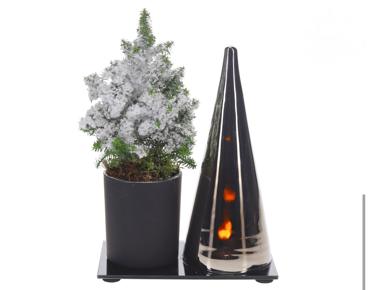 Lighting Duo met Kerstboom