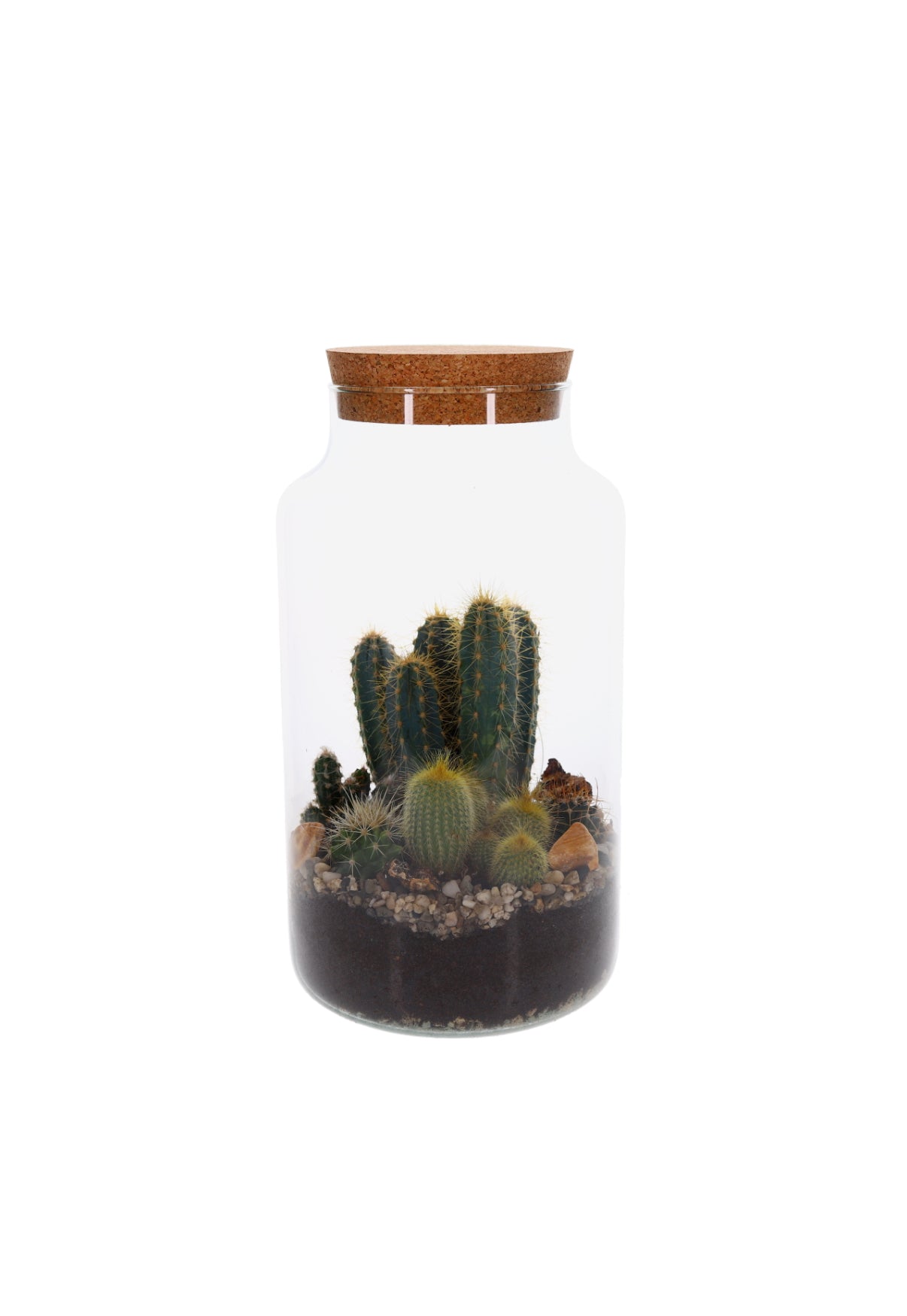 Cactussen is Terrarium Green Bottle