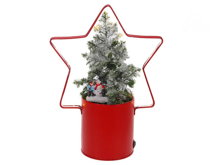 Lighting Star met Kerstboom