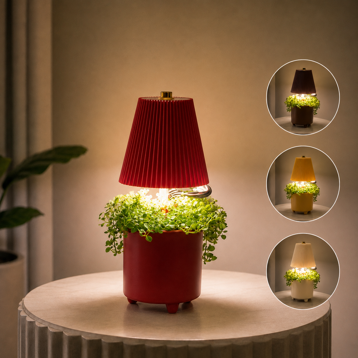 Pilea in Lighting tafellamp