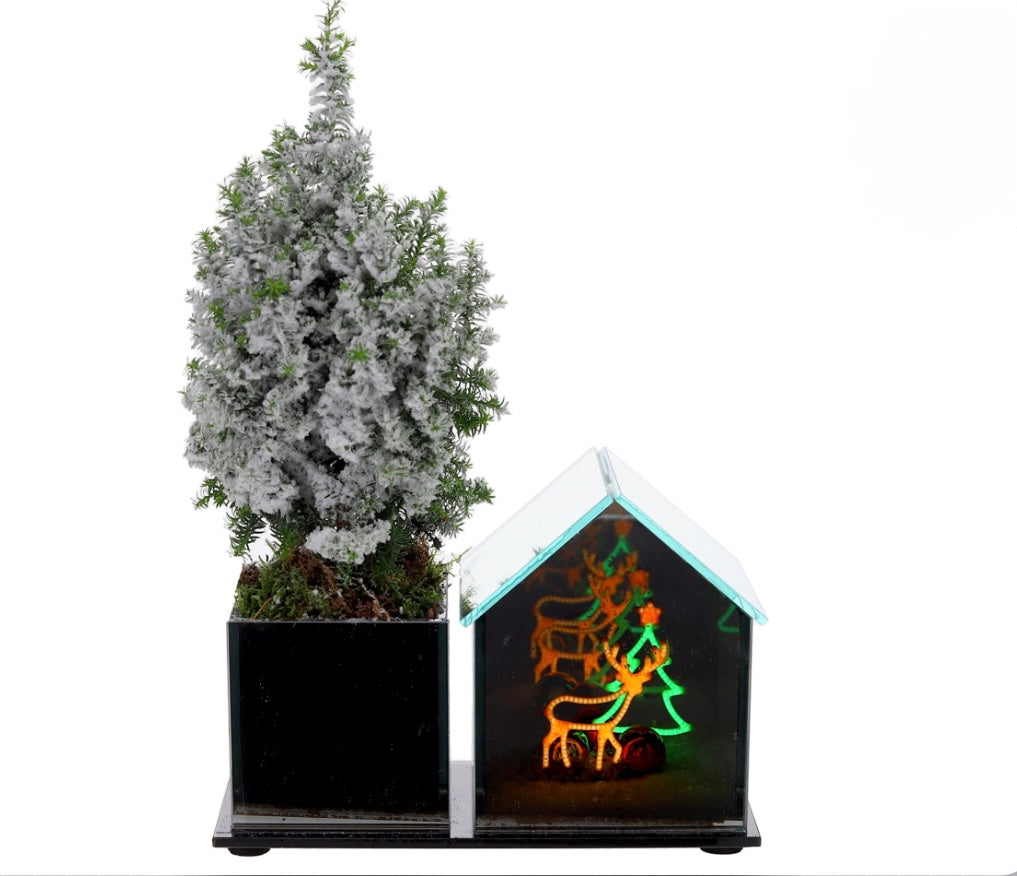 kerstboom met Glazenhuisje Led