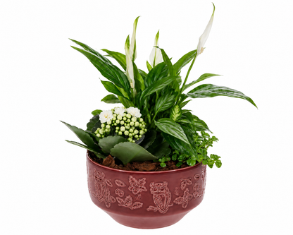 Planten Arrangement Uilenpot