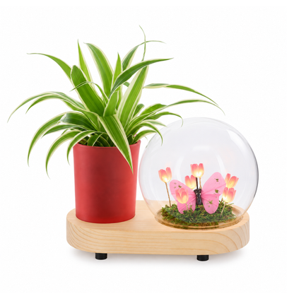 Chlorophytum in Lighting Bloemenbol