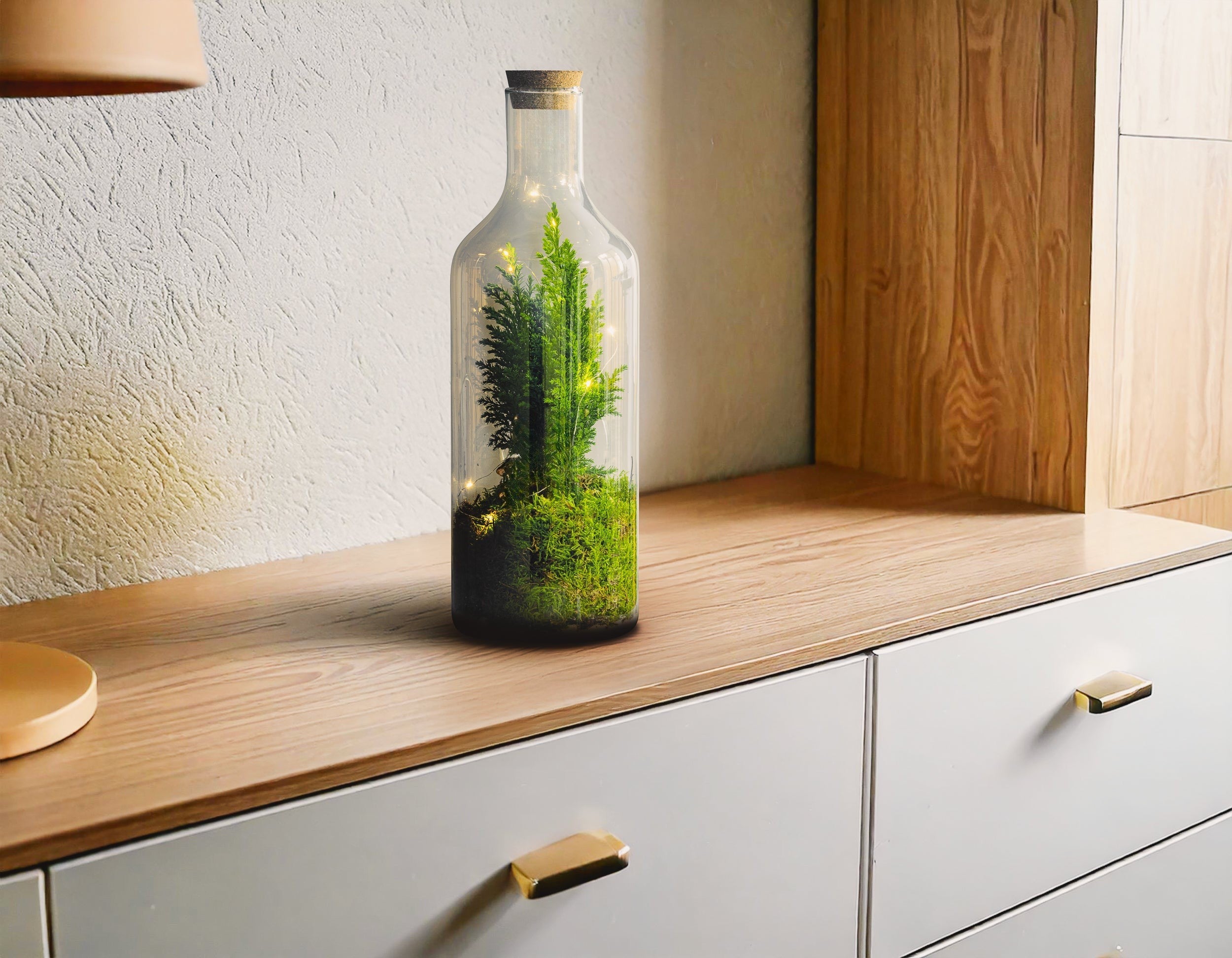 Chamaecyparis in Terrarium Bottle