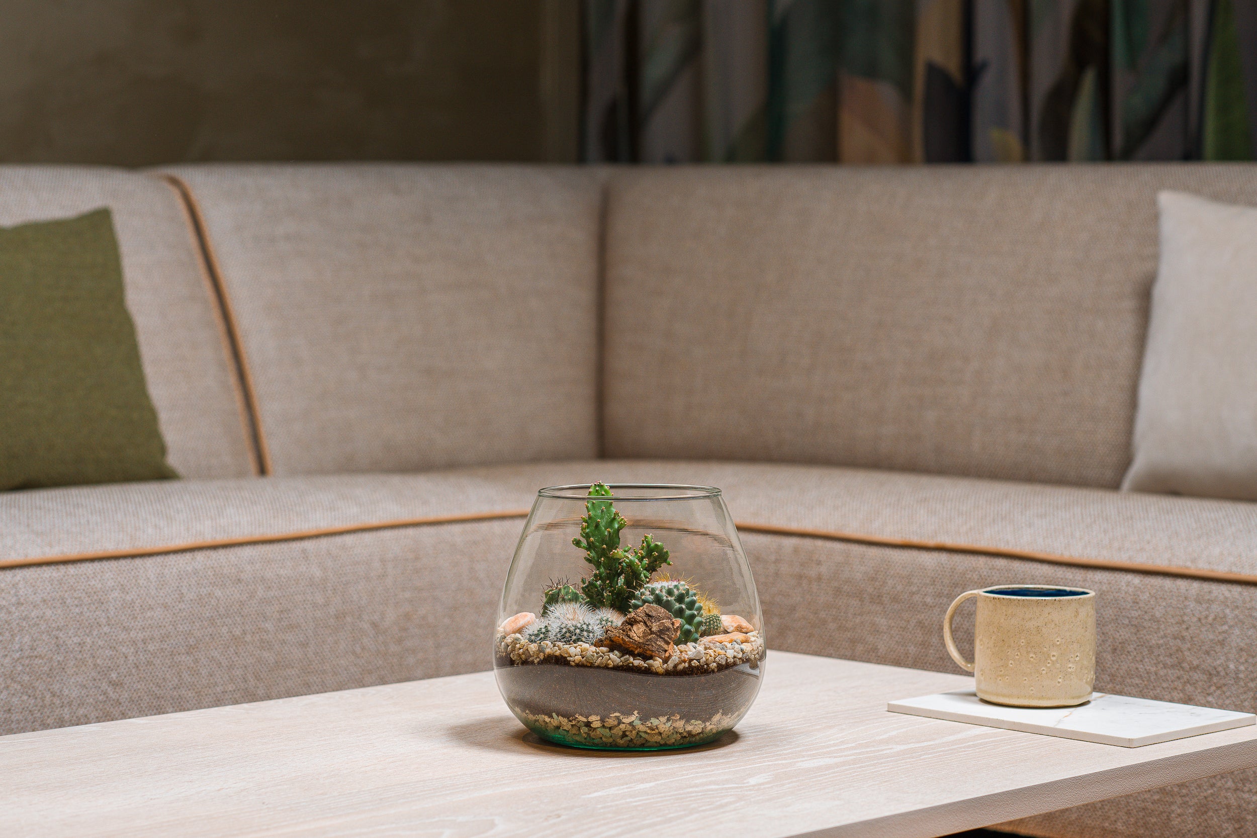 Cactussen in terrarium Abby