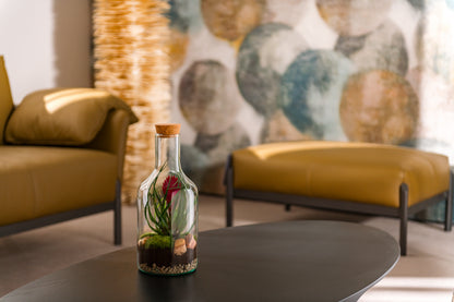 Bromelie in offener Terrarienflasche