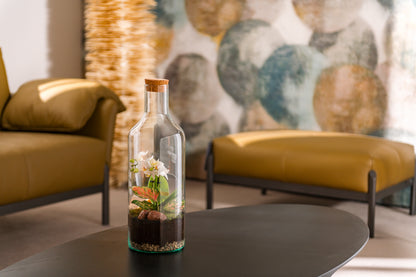 Orchidee in open Terrarium Bottle