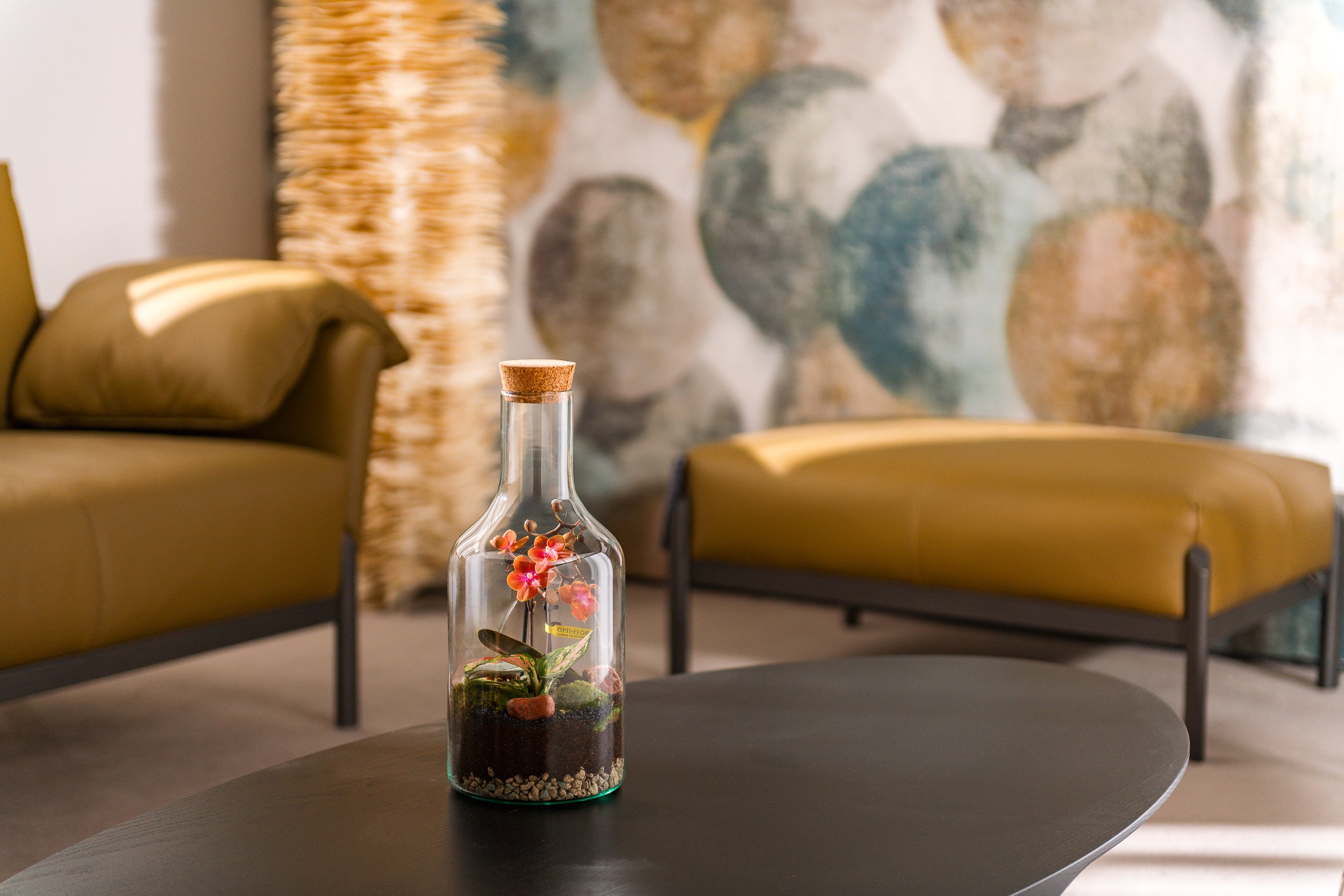 Orchidee in open Terrarium Bottle