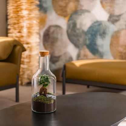 Bonsai boom in glas