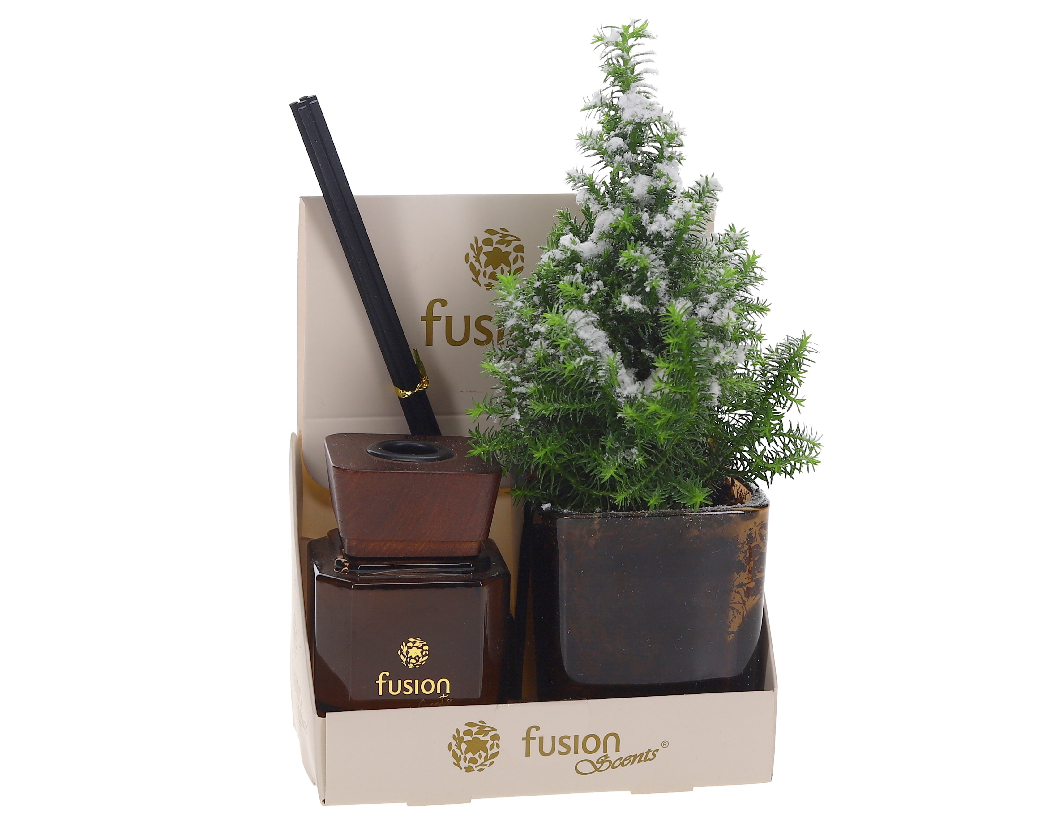 Weihnachten im Fusionscents Duftstift