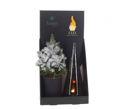 Lighting Duo met Kerstboom