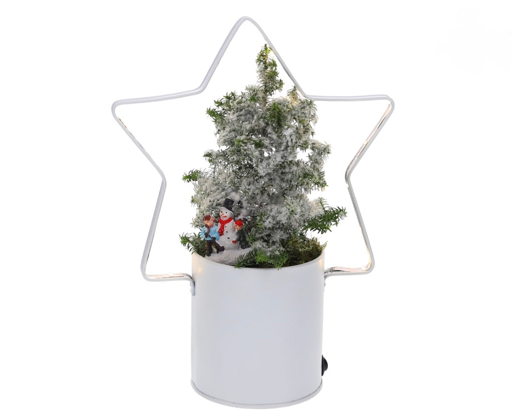 Lighting Star met Kerstboom