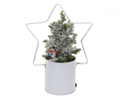 Lighting Star met Kerstboom