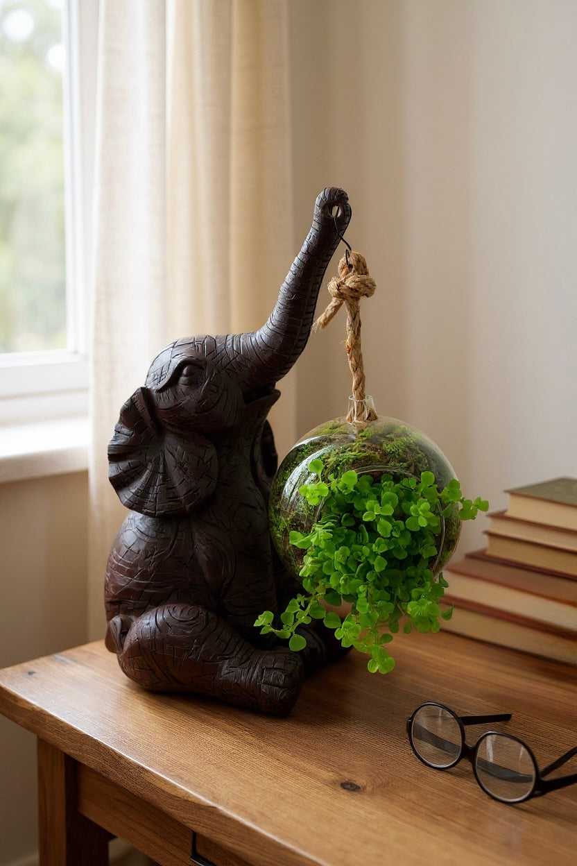 Pilea met Olifant