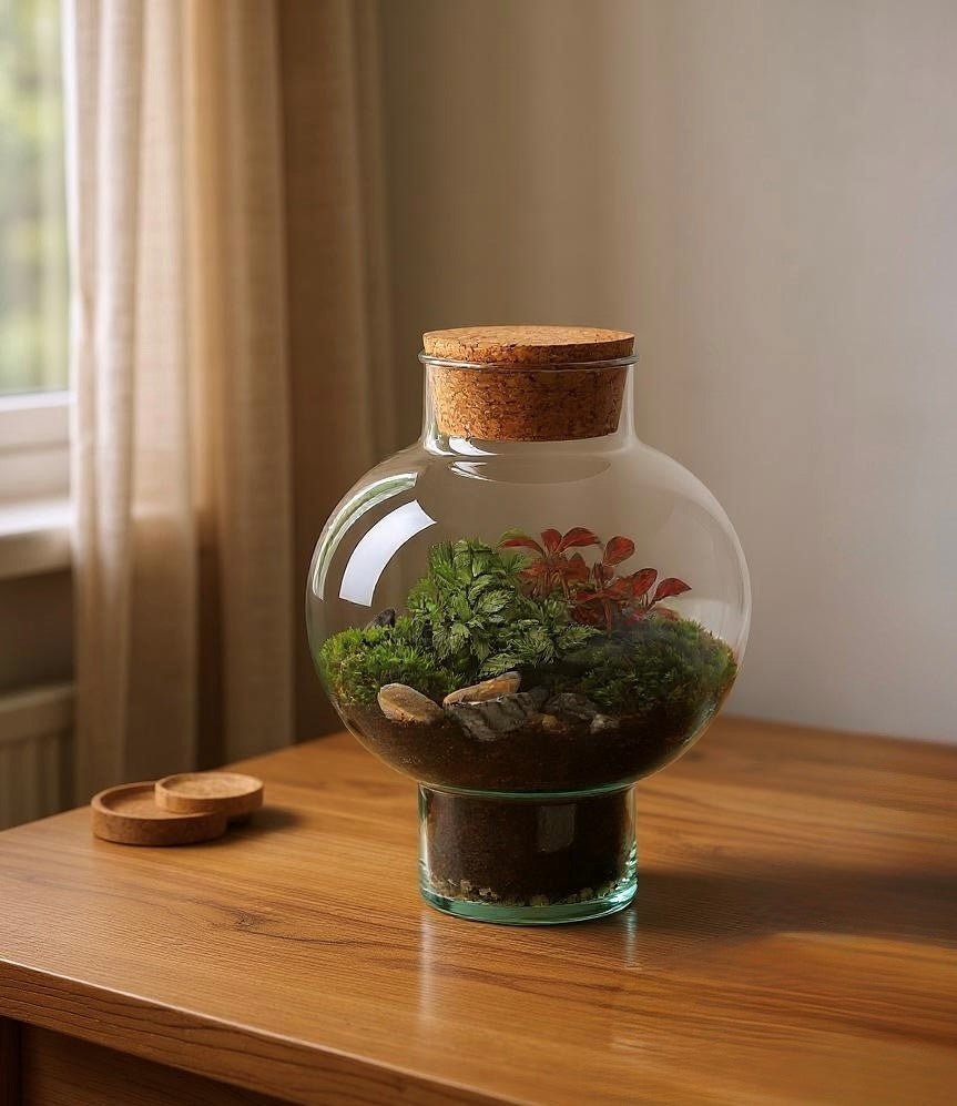 Ecosysteem laura , Terraria gesloten