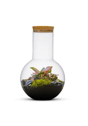 Ecosysteem suzanne 