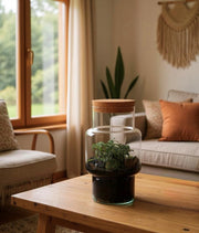 Ecosysteem terrarium met fittonia