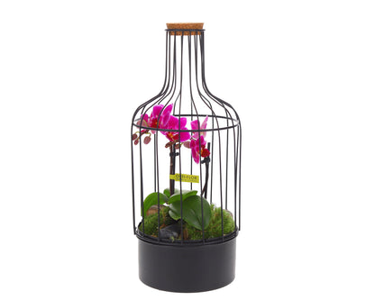 Bottle metaal Orchidee