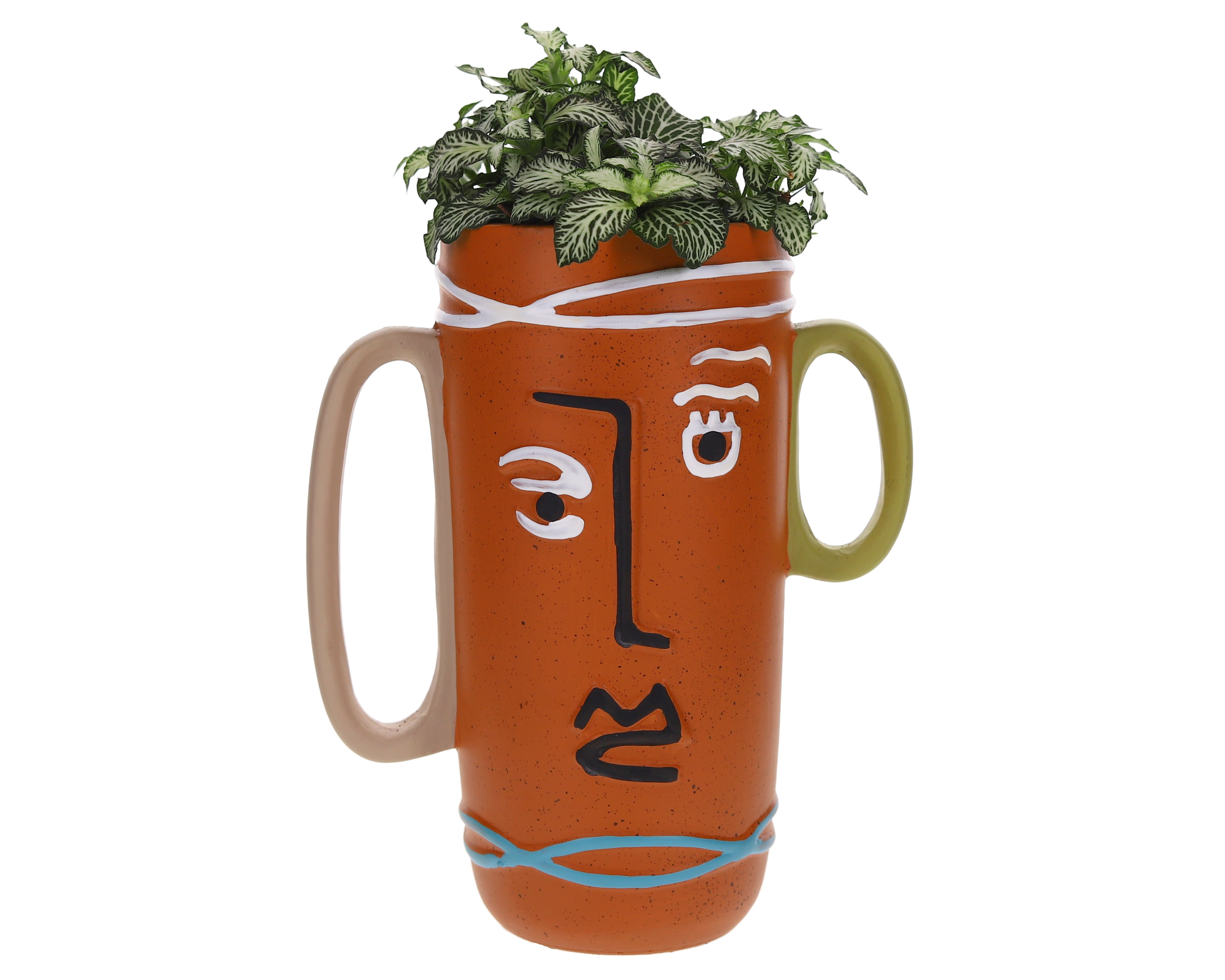 Facepot Athyrium