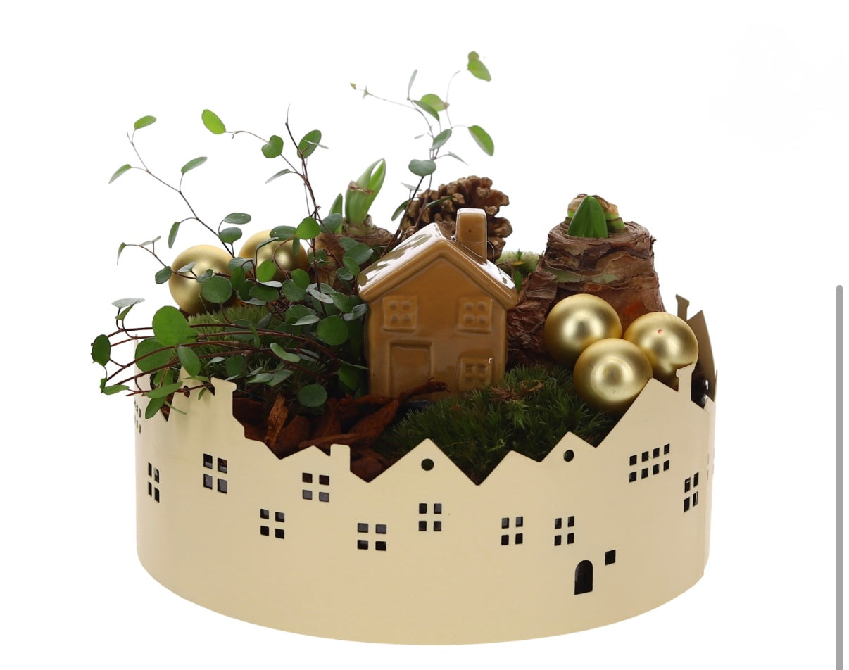 Amaryllis Kerst Arrangement