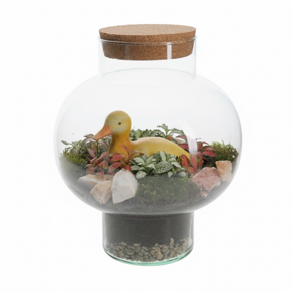 Gesloten_Terrarium_met_eend