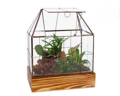 Glazen semi-terrarium kas