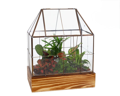 Glazen semi-terrarium kas met echte plants