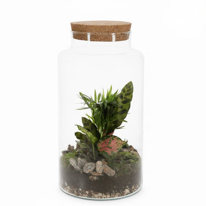 gesloten terrarium Green Bottle Jungle 