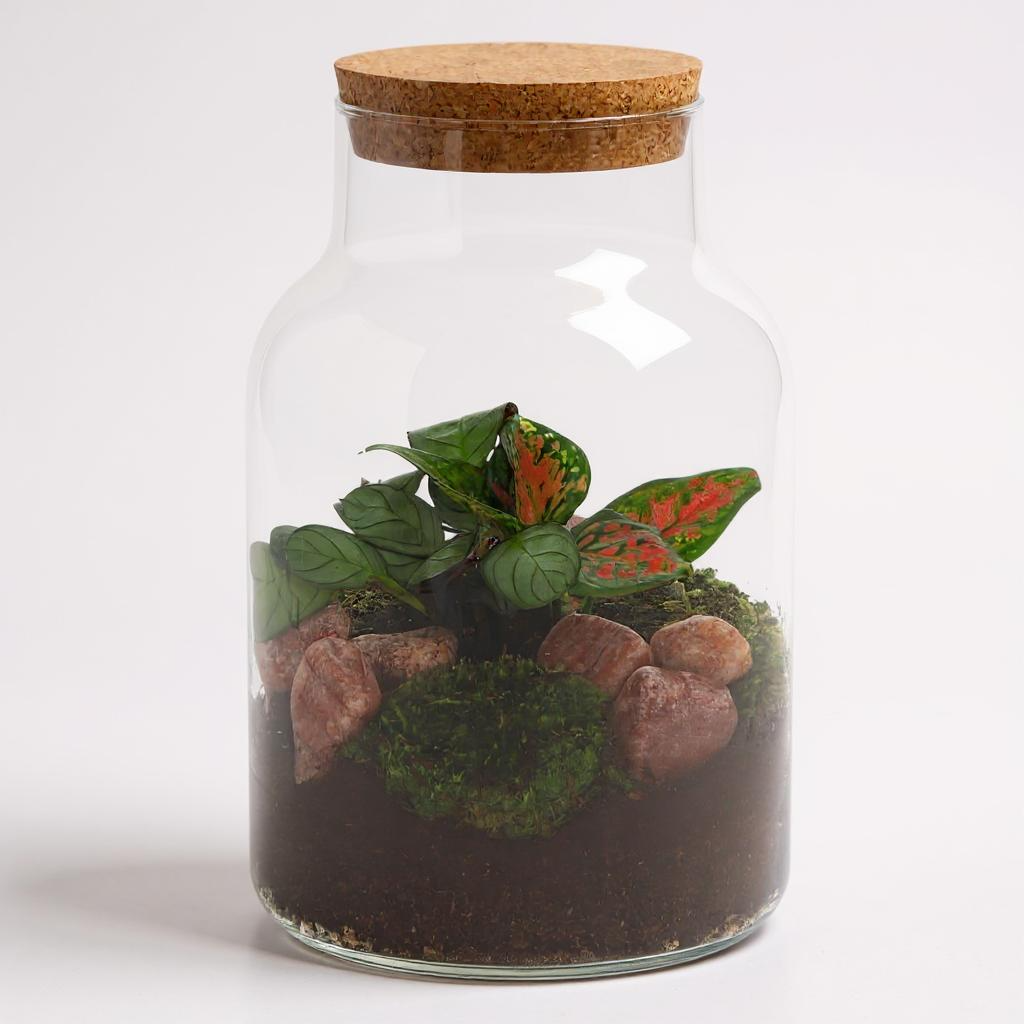 Calathea and Aglaonema in Ecosystem