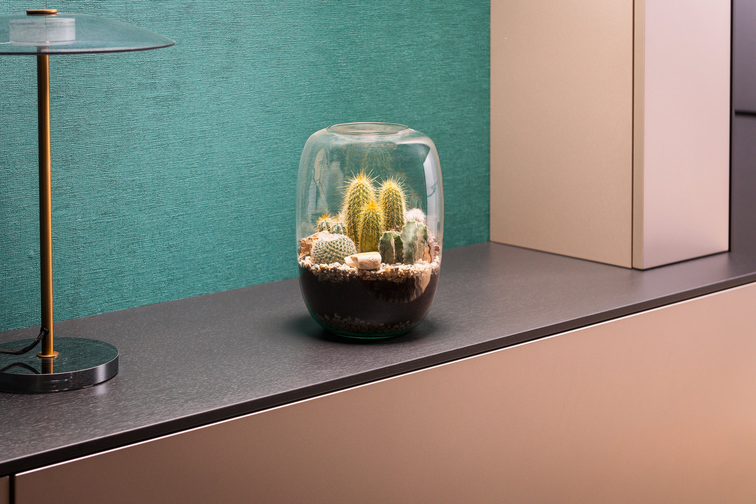 Terrarium_Cactus_Plant_Small_The_Green_Bottle_Garden
