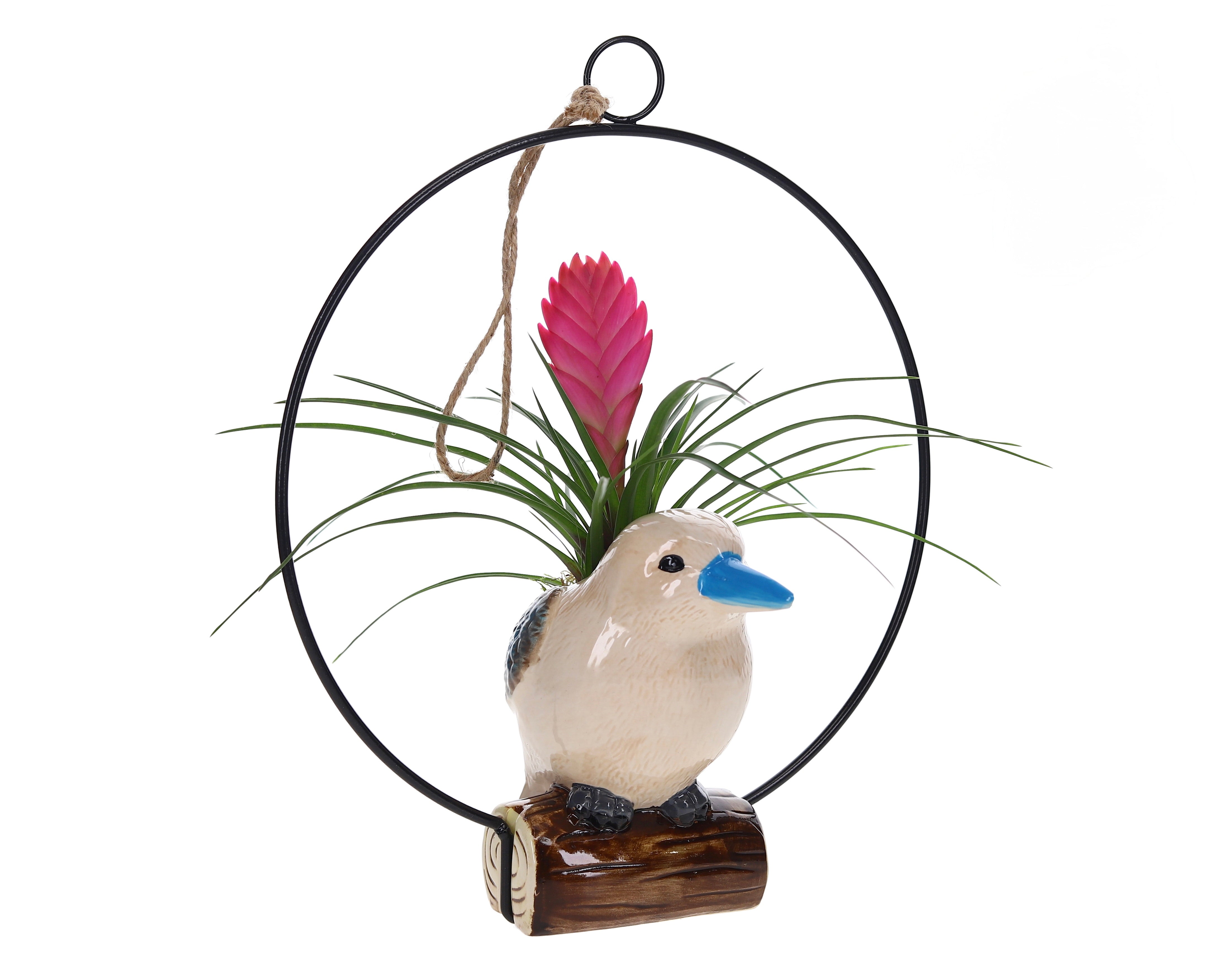 Keramieke vogel met Tillandsia wit