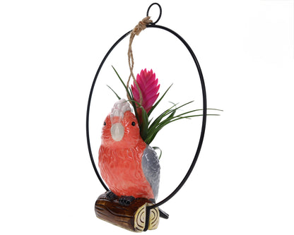 Keramieke vogel met Tillandsia zalmroze