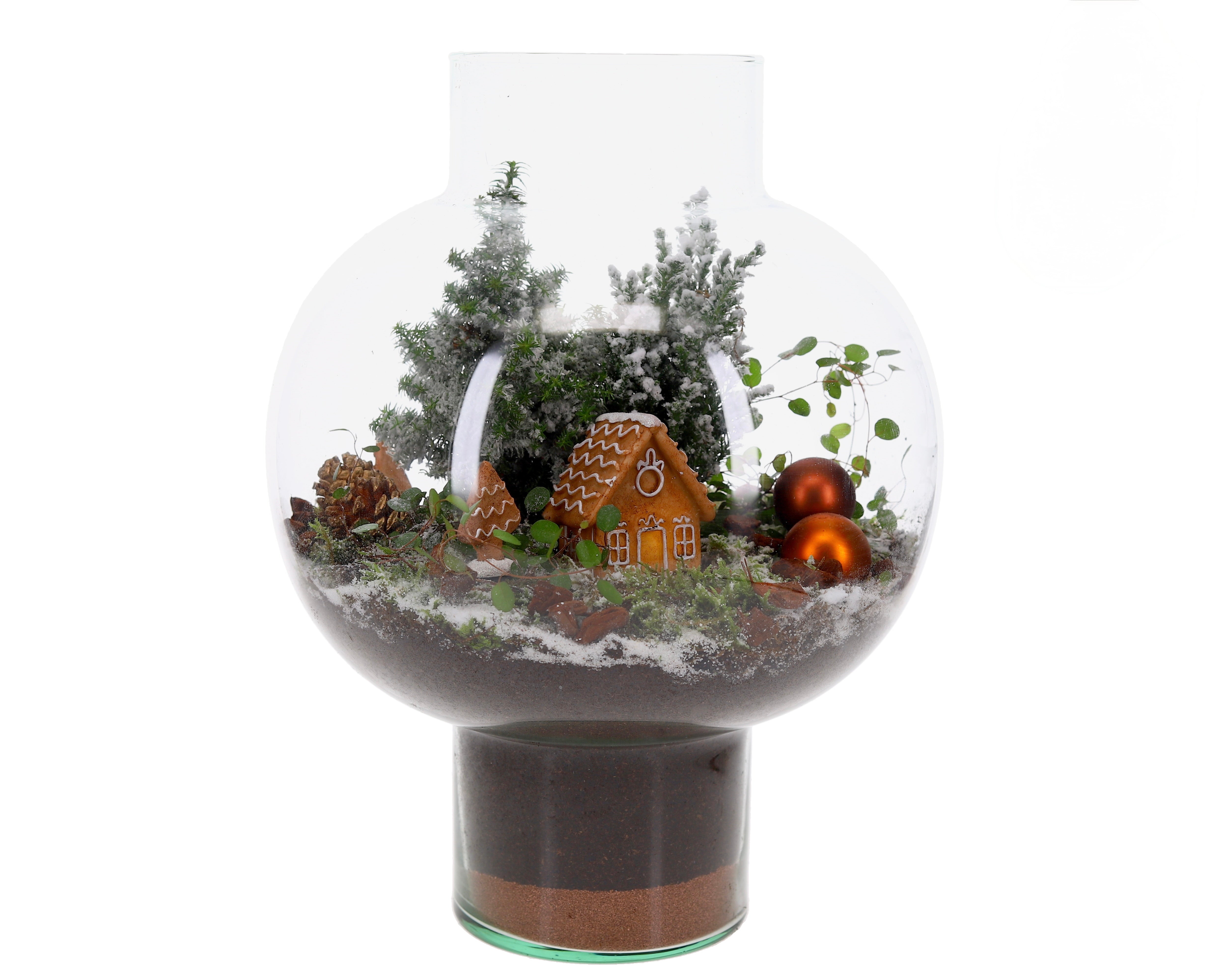 Kersthuisje terrarium L