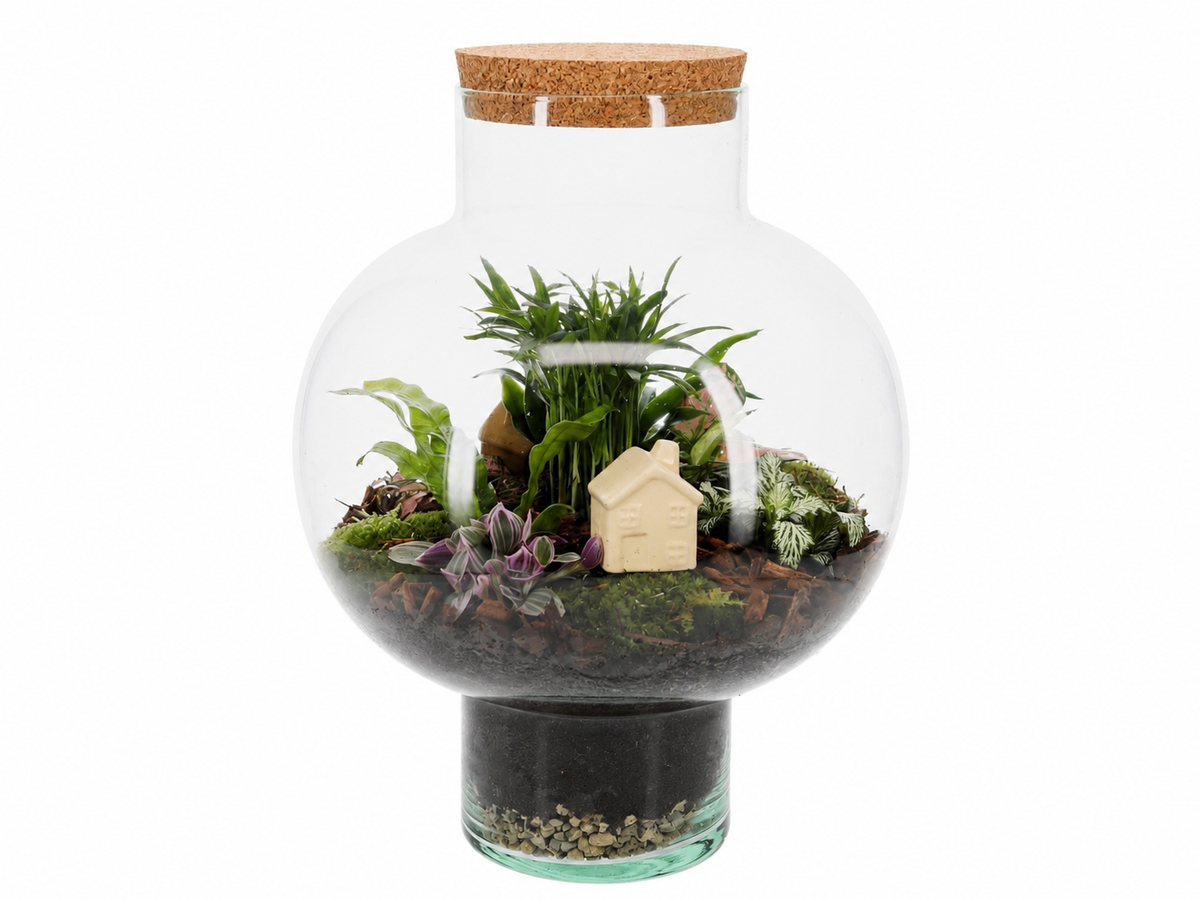Laura huisje terrarium L