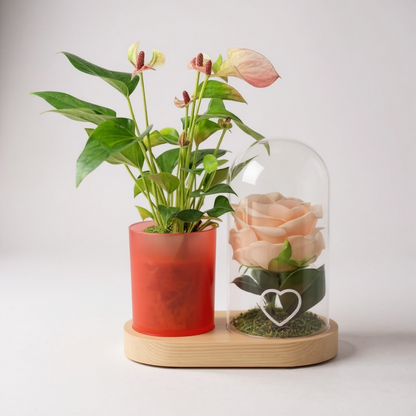 Led hart met roze roos en anthurium roze