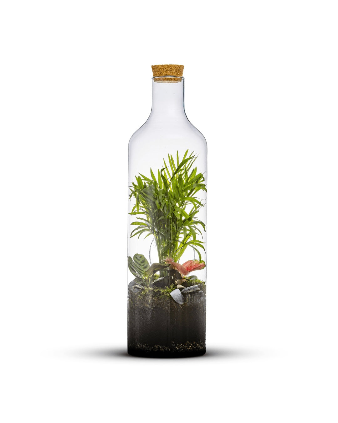 Bottle Jungle | handmade bottle garden full of mini green plants