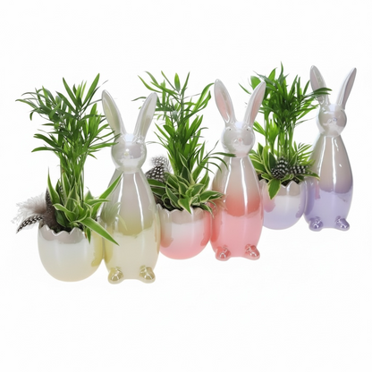 Paashaas Decoratie met groenplanten