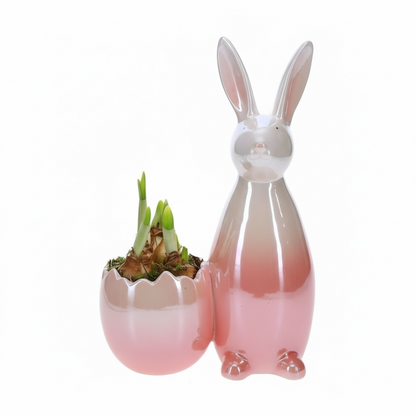 Paashaas decoratie met Narcis Roze