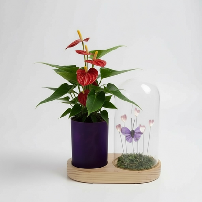 Rood Anthurium in lichtplantje flower