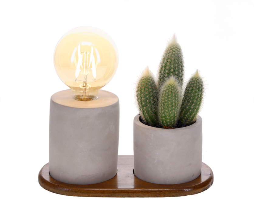 Lighting Betonplankje Cactus