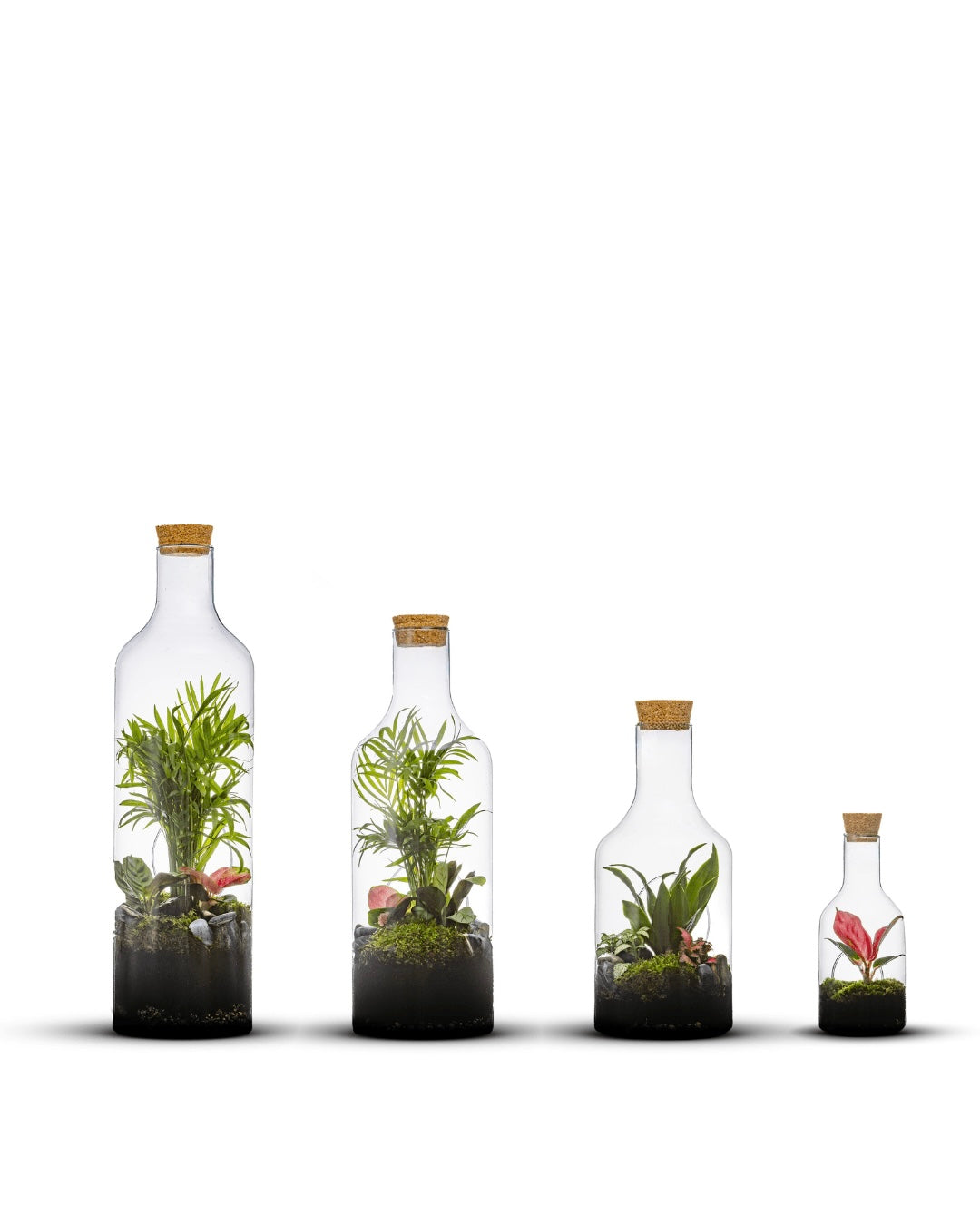 Bottle Jungle | handmade bottle garden full of mini green plants