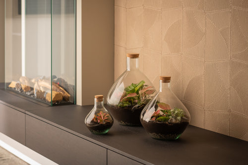 Terrarium_Okaido_Set_The_Green_Bottle_Garden