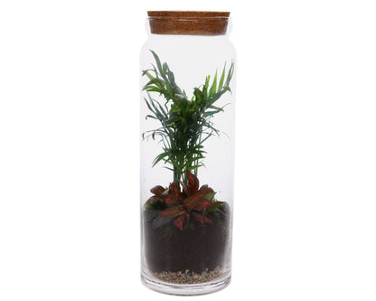 Terrarium Vaas groenplanten