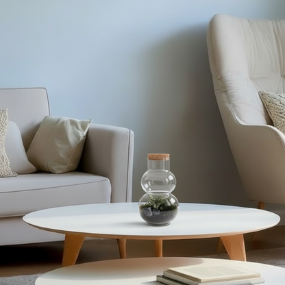 Terrarium gesloten olaf