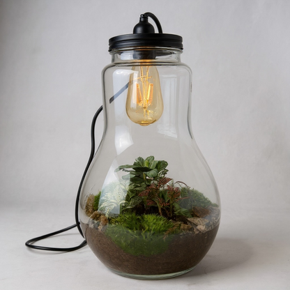 Terrarium met lamp